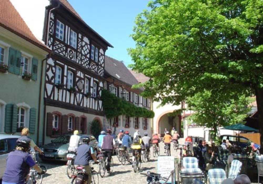 Radtour durch Weinterrasse im Kaiserstuhl