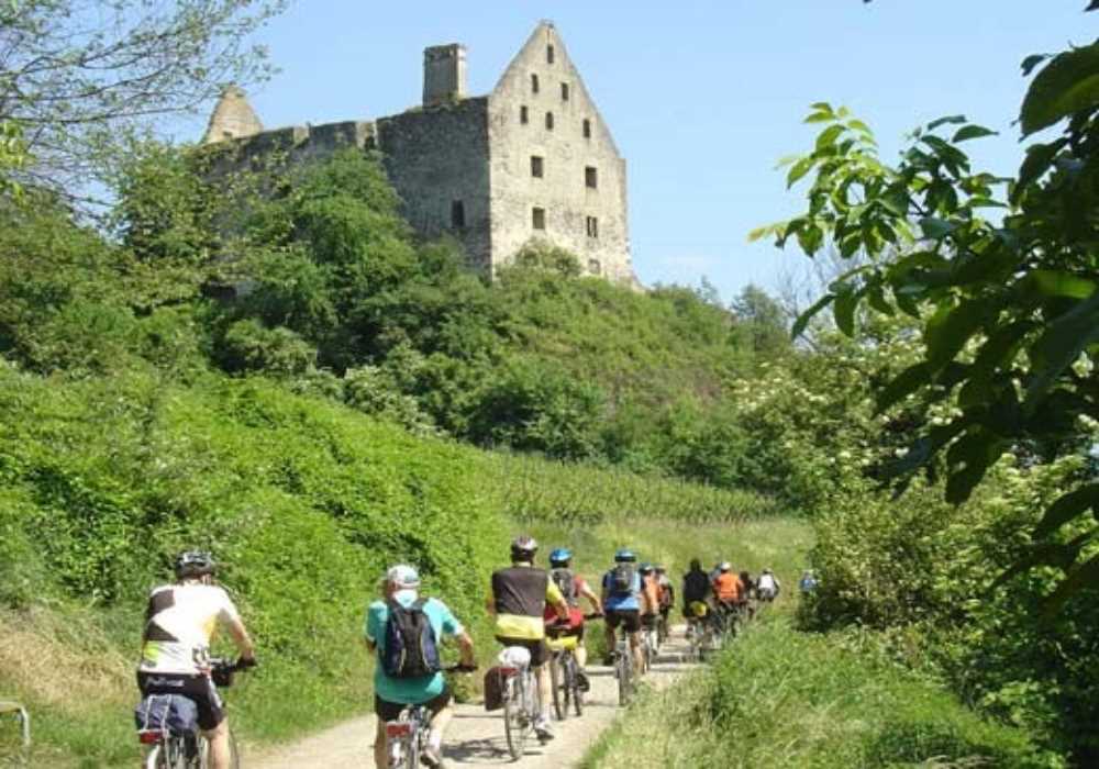 Radtourren im Kaiserstuhl Weinterrassen