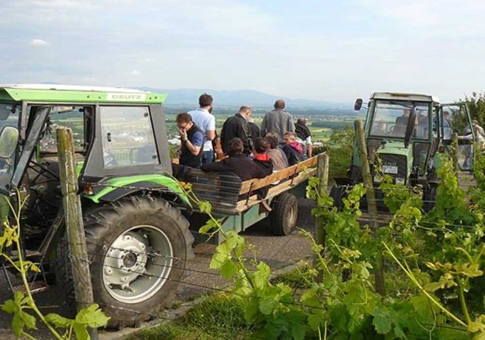 Traktorfahrt mit Weinprobe im Kaiserstuhl
